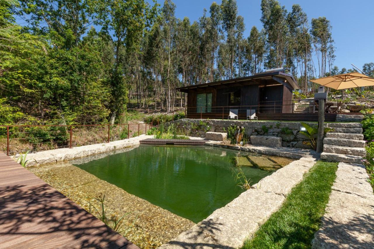 Вилла Casa Do Monte Da Veiga - Minho'S Guest Повуа-ди-Ланьозу Экстерьер фото